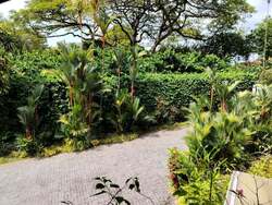 Bin Tong Park (D10), Detached #545980501
